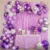 Kit Arco De Globos Mariposas Violeta Lila