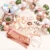 Kit Globos Bride To Be Rosa + Banda + Vincha + Accesorios